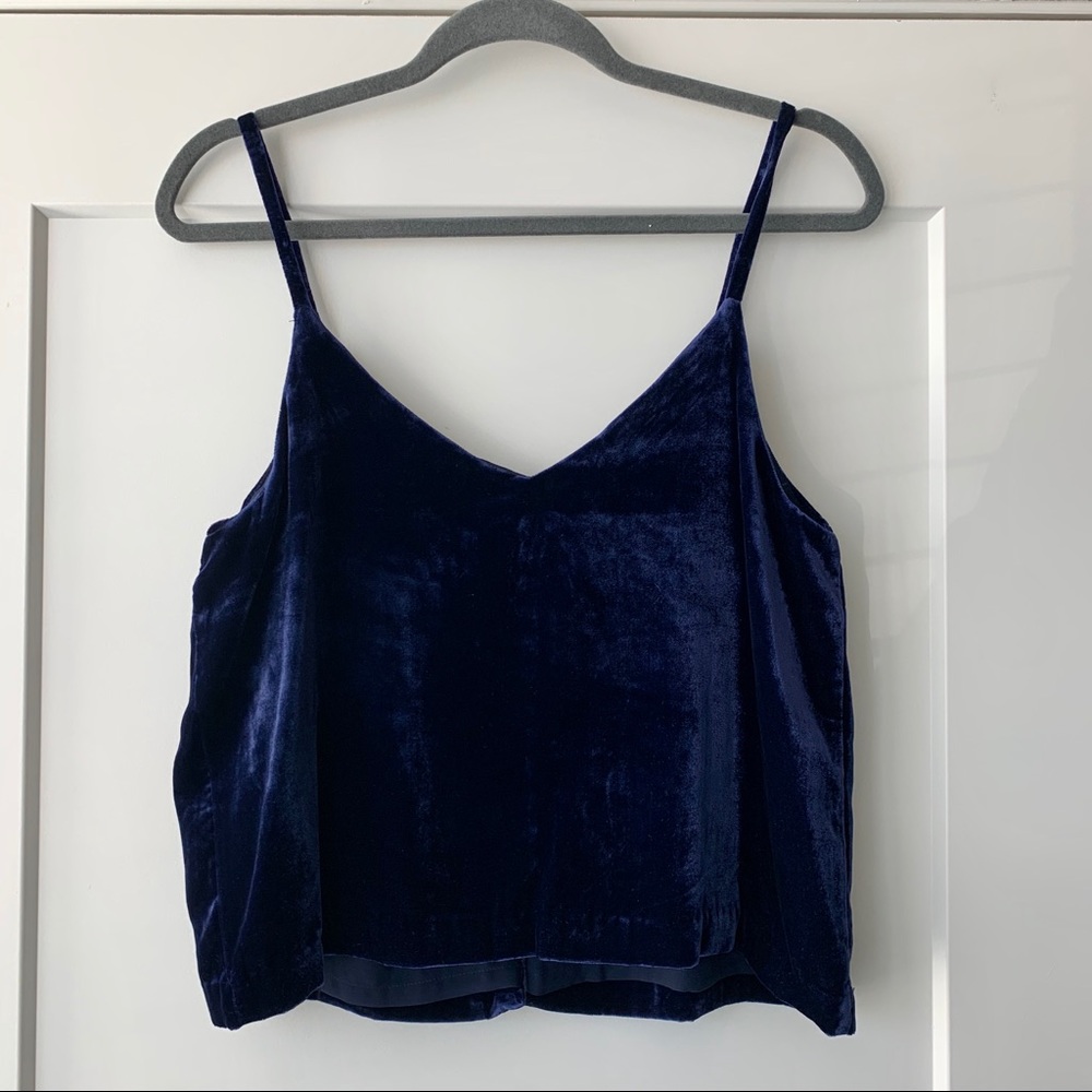 Madewell Velvet Button-Down Cami - Picture 4 of 6